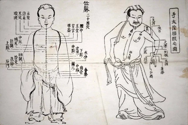 鍼灸の歴史イメージ写真