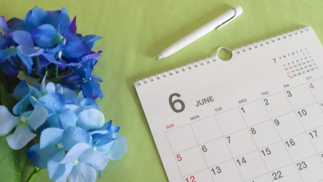6月の開院スケジュール