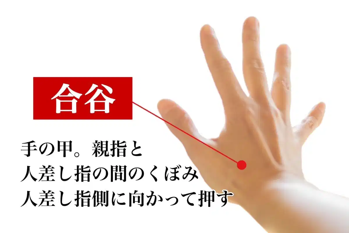 便秘におすすめのツボ③合谷