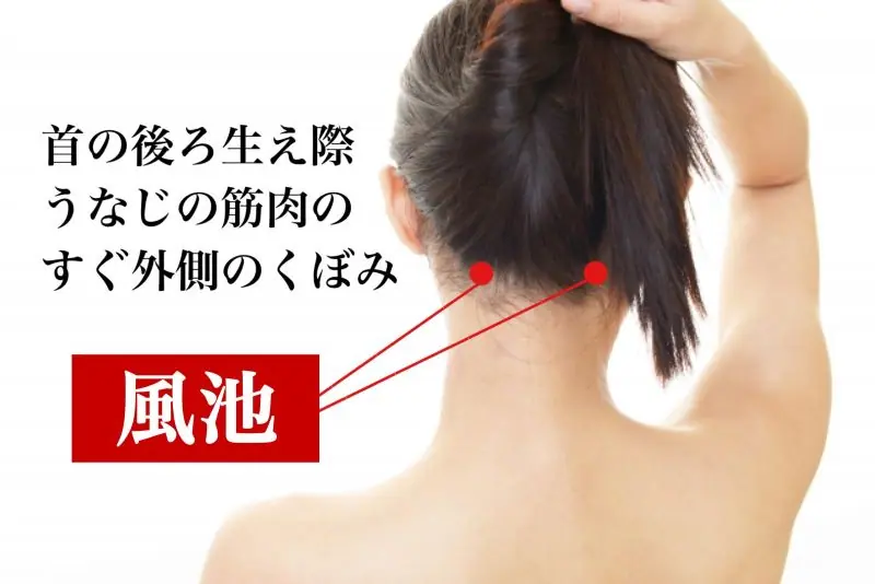 肩こり頭痛に効くツボ②風池