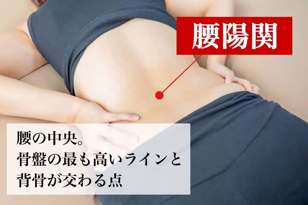 腰痛にオススメのツボ④腰陽関