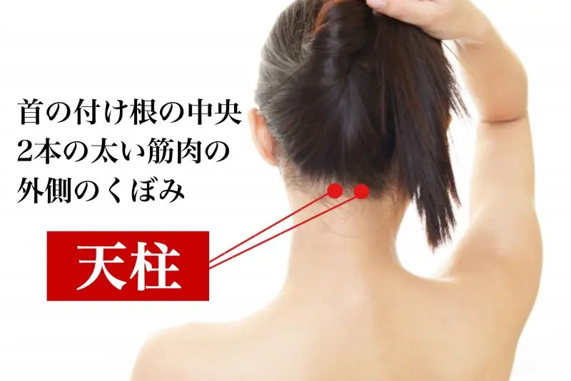 肩こり頭痛に効くツボ①天柱